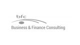 Logo: Business & Finance Consulting
