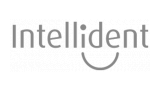 Logo: Intellident